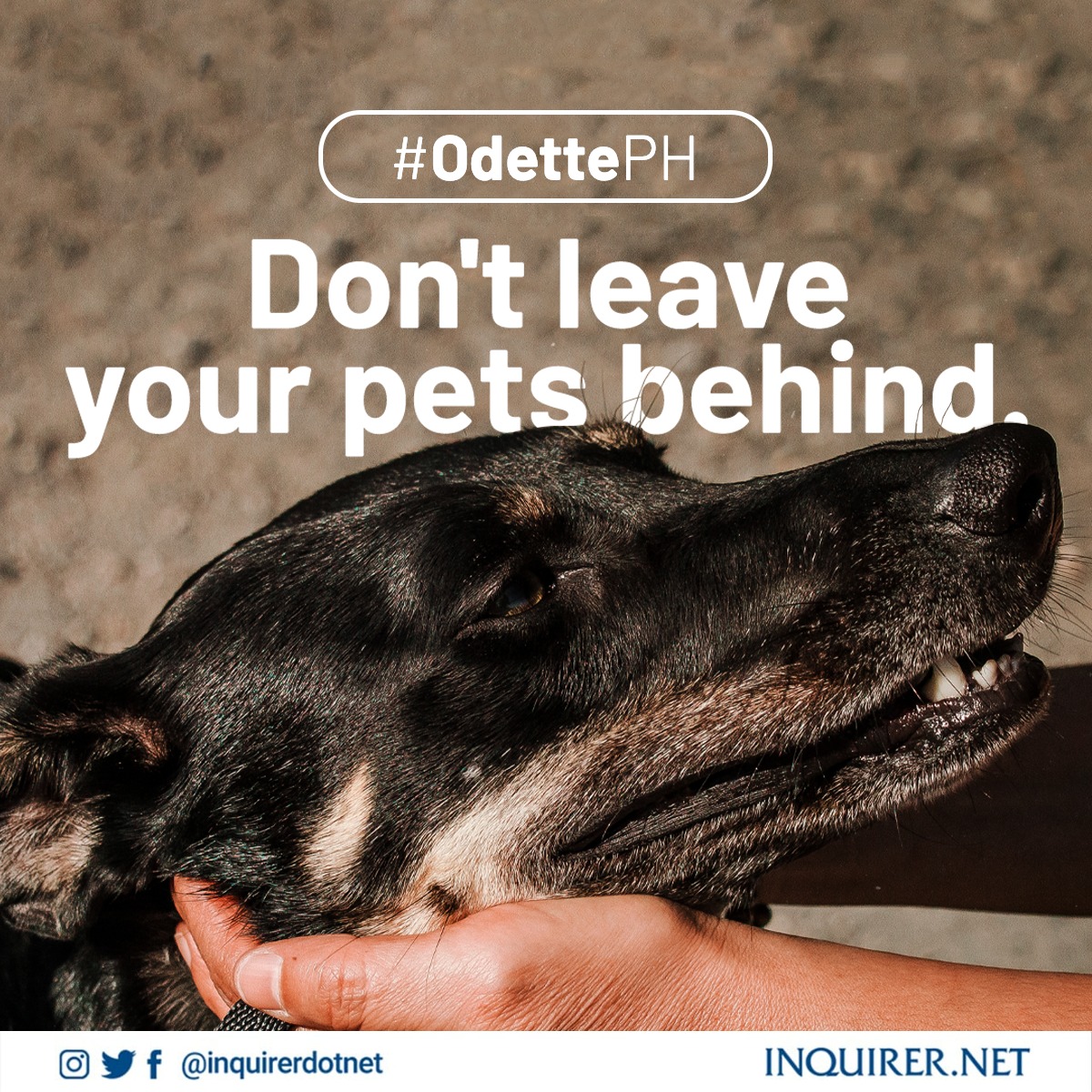 Inquirer tweet media