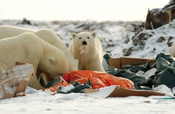 RT if you think that plastic should be completely banned on our planet earth. Shareholders, manufacturers and consumers should be given an year’s notice and boom!