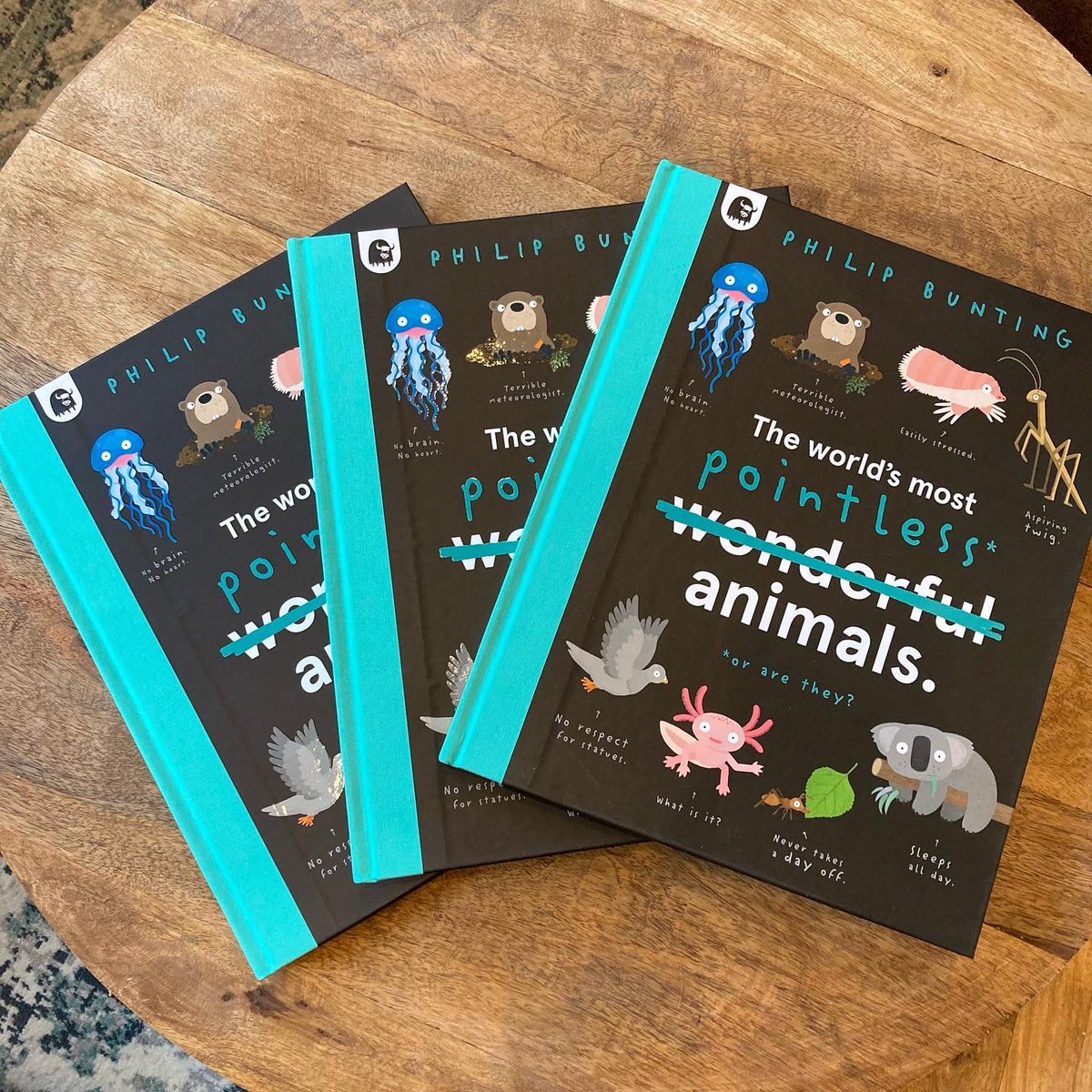 StHBookStop's tweet photo. Last minute Christmas present? Perfect for any animal lover of any age! #pointlessanimals https://t.co/3tBa4XzyY1