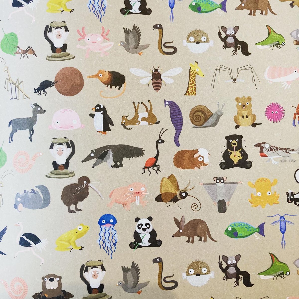 StHBookStop's tweet photo. Last minute Christmas present? Perfect for any animal lover of any age! #pointlessanimals https://t.co/3tBa4XzyY1