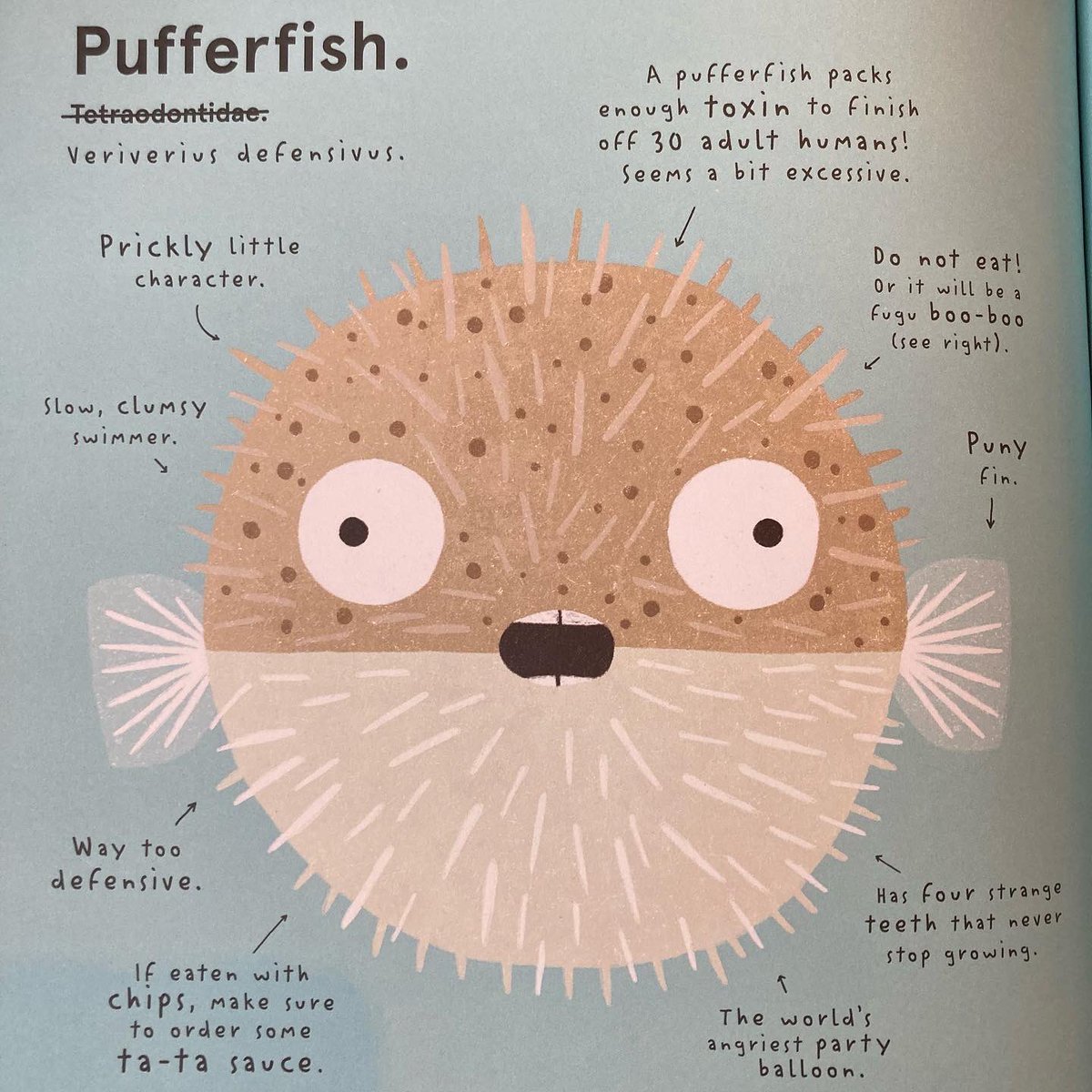 StHBookStop's tweet photo. Last minute Christmas present? Perfect for any animal lover of any age! #pointlessanimals https://t.co/3tBa4XzyY1