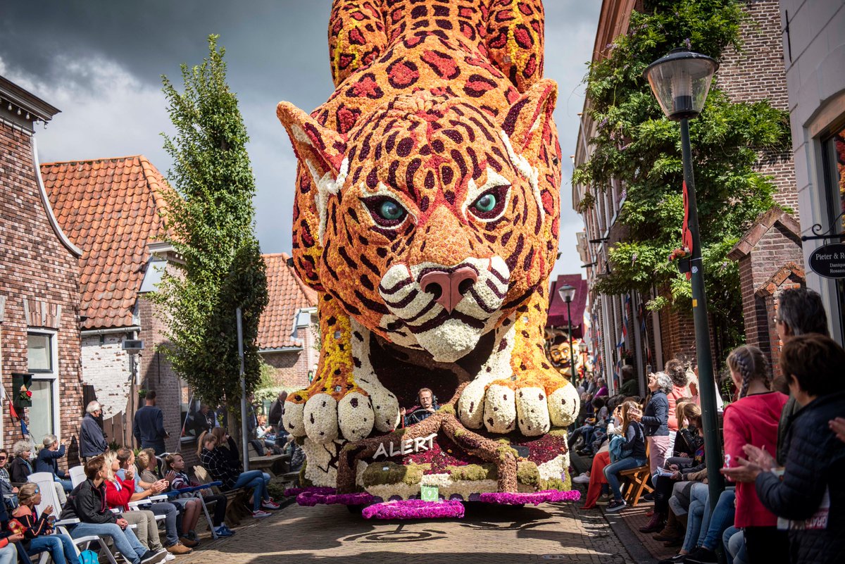 Unesco schrijft twee Nederlandse tradities in op de Representatieve Immateriële erfgoedlijst van de Mensheid. De corsocultuur is zojuist ingeschreven, de valkerij afgelopen dinsdag. 
 #IntangibleHeritage bit.ly/3EdpiC5. <a href="/KGFerrier/">Kathleen Ferrier</a> <a href="/MarieliesS/">Marielies Schelhaas</a> <a href="/MariekeB/">Marieke Brugman</a>