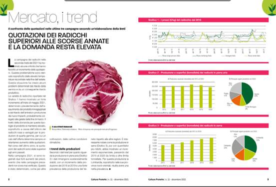 BMTI_IT's tweet photo. 📊#Prezzi #radicchi superiori alle scorse annate e la domanda resta elevata.
L'analisi di #BMTI relativa alle ultime tre campagne su 🗞#ColtureProtette👉🏻https://t.co/7Ez4V44cUN
@unioncamere
@Mipaaf_ https://t.co/lvXMsKA93f