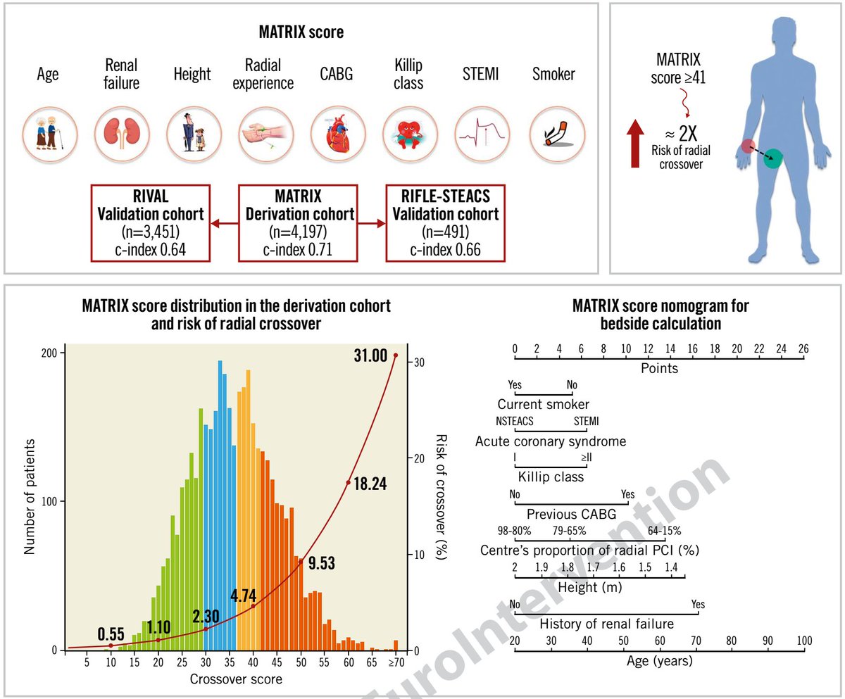 FeliceGragnano's tweet photo. The #MATRIXscore to calculate the risk of #radial #crossover in patients undergoing PCI ⚡
@paolocalabro1 @vlgmrc @unicampania
➡️ Online calculator https://t.co/Oop2isbLxI 🧮
➡️Full-text via @EuroInterventio💻https://t.co/7LJ70zAFJp https://t.co/nMOOKzkCKK
