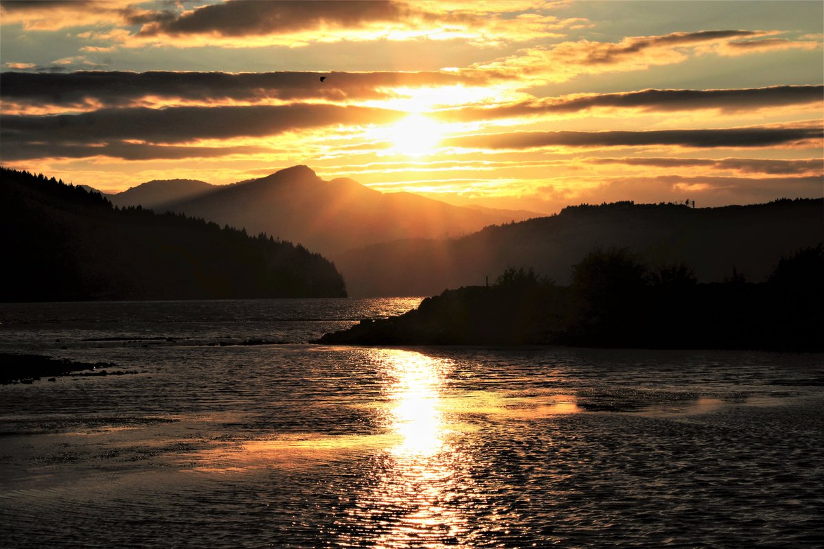 "How do you pick up the threads of an old life? How do you go on when in your heart you begin to understand there is no going back?" - Frodo Baggins