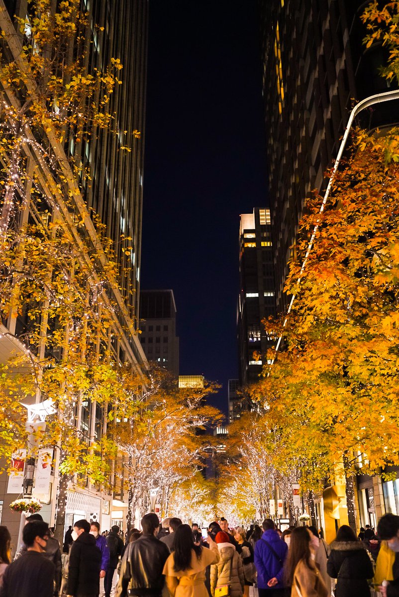 shigesh32276292's tweet photo. 丸の内のイルミネーション。

#イルミネーション　#東京の夜景
#丸の内ストリートパーク 
#Destinationjapan https://t.co/GkqRbLzt4K