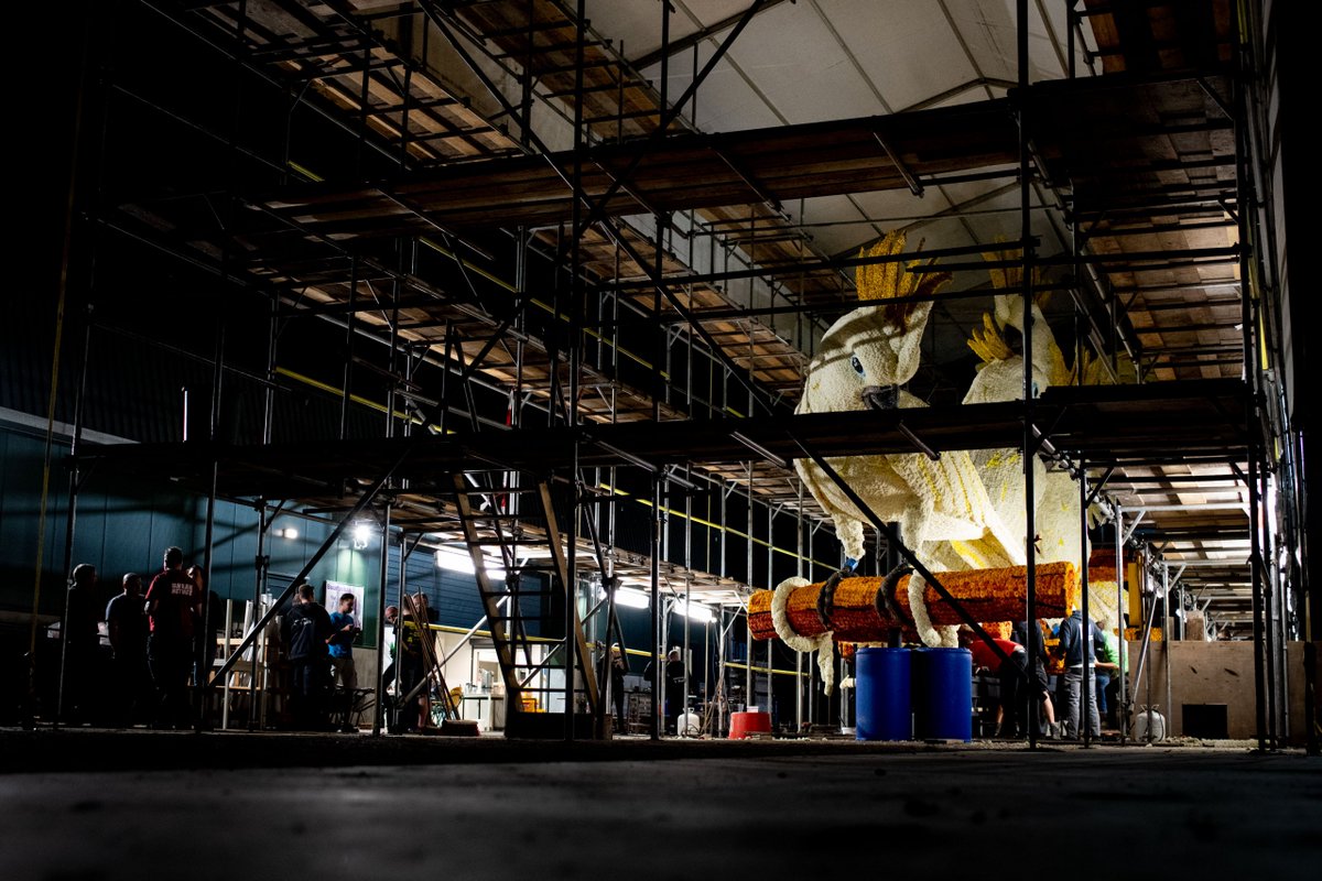 Corso Zundert tweet media