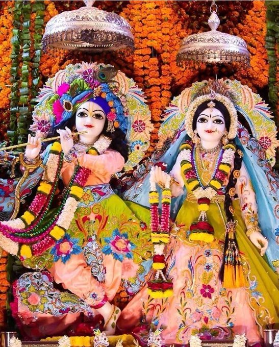 🌸💚Hare krishna💚🌸

radhe radhe😘😘