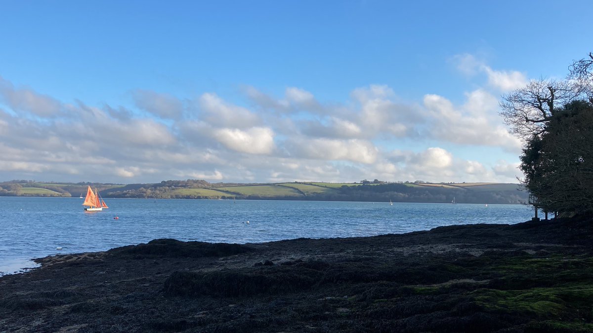 View from Restronguet Weir this morning - oyster boat to the left.