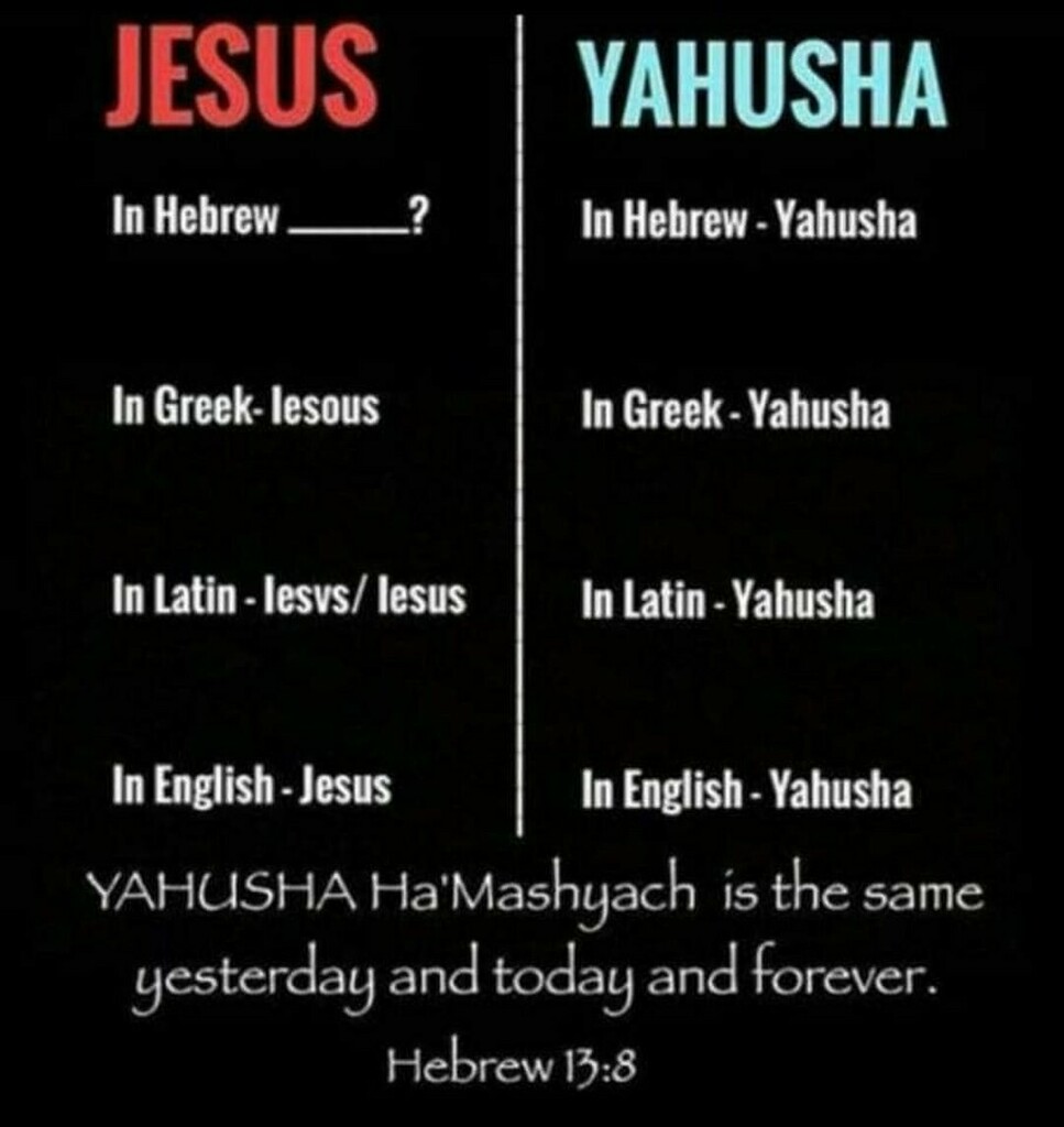 Purple Lady tweet media