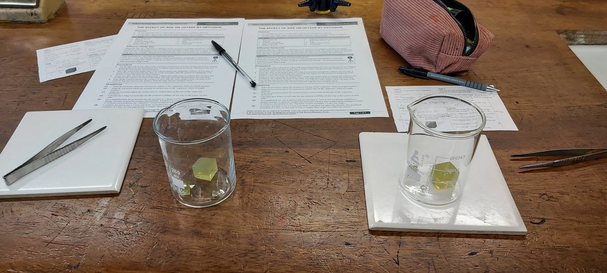 SHS_SixthForm's tweet photo. Agar Jelly in Biology today - not sure it goes well with ice cream, but it made a fantastic taster session! @sherburnhigh #JoinUs #getinspired https://t.co/iHLql80OY9