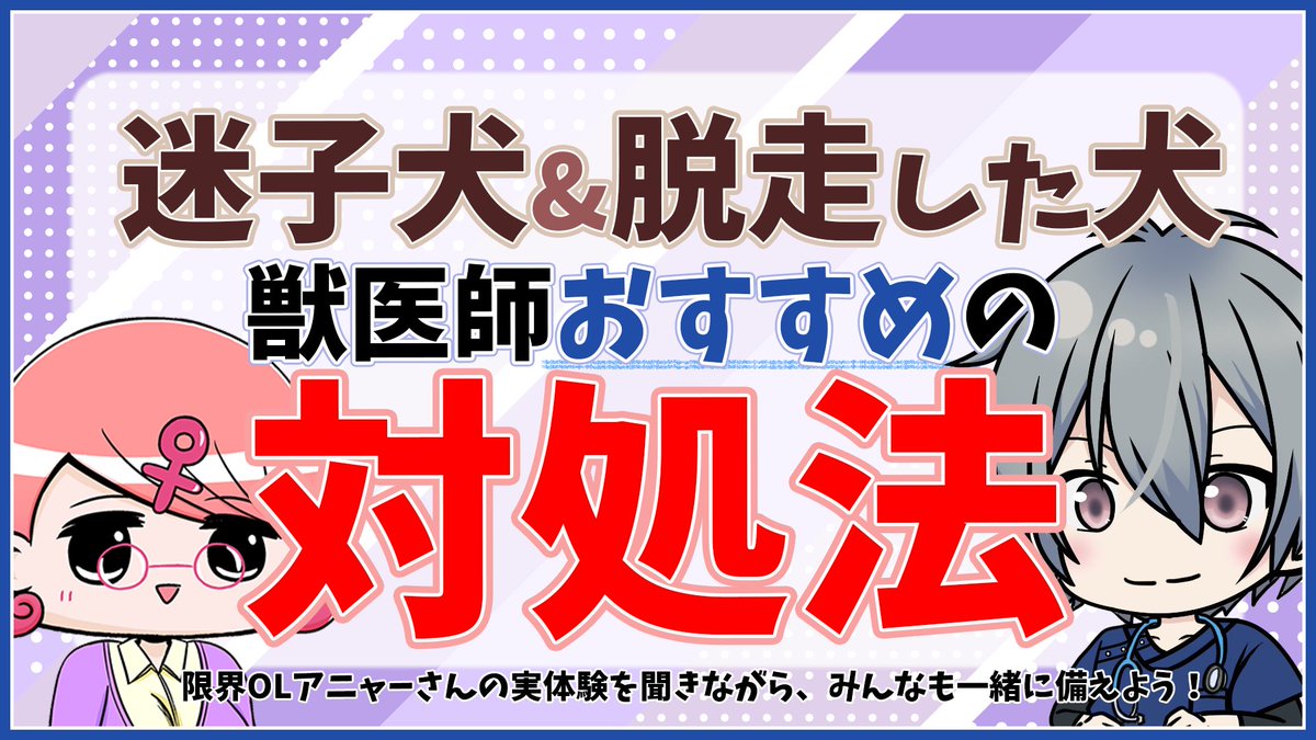 suguru_kamikaze's tweet photo. 【タイムスタンプ】
『先日の迷子犬＆脱走した犬　獣医師おすすめの対処法』のタイムスタンプ打ちました。
興味ある方、是非✨
#迷子犬　#脱走　#ペットロスト　#PETLOST

https://t.co/UR2y7iv3Es https://t.co/afmBJbbILi