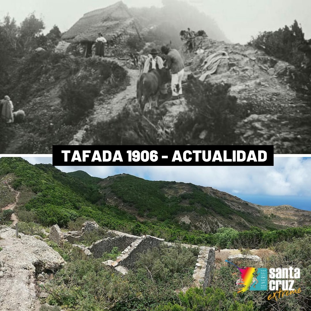 SCExtremeAnaga's tweet photo. Corriendo por Anaga 🏃🏃♀️
Entre #Chamorga y el Faro de #Anaga se encuentra el caserío de #Tafada, que aunque en la actualidad pasa prácticamente inadvertido entre la vegetación, a principios de siglo XX estaba habitado.
📸 @Antesahoratfe y Wikiloc
#santacruzextreme #santacruz https://t.co/9Kx6Kd3kyY