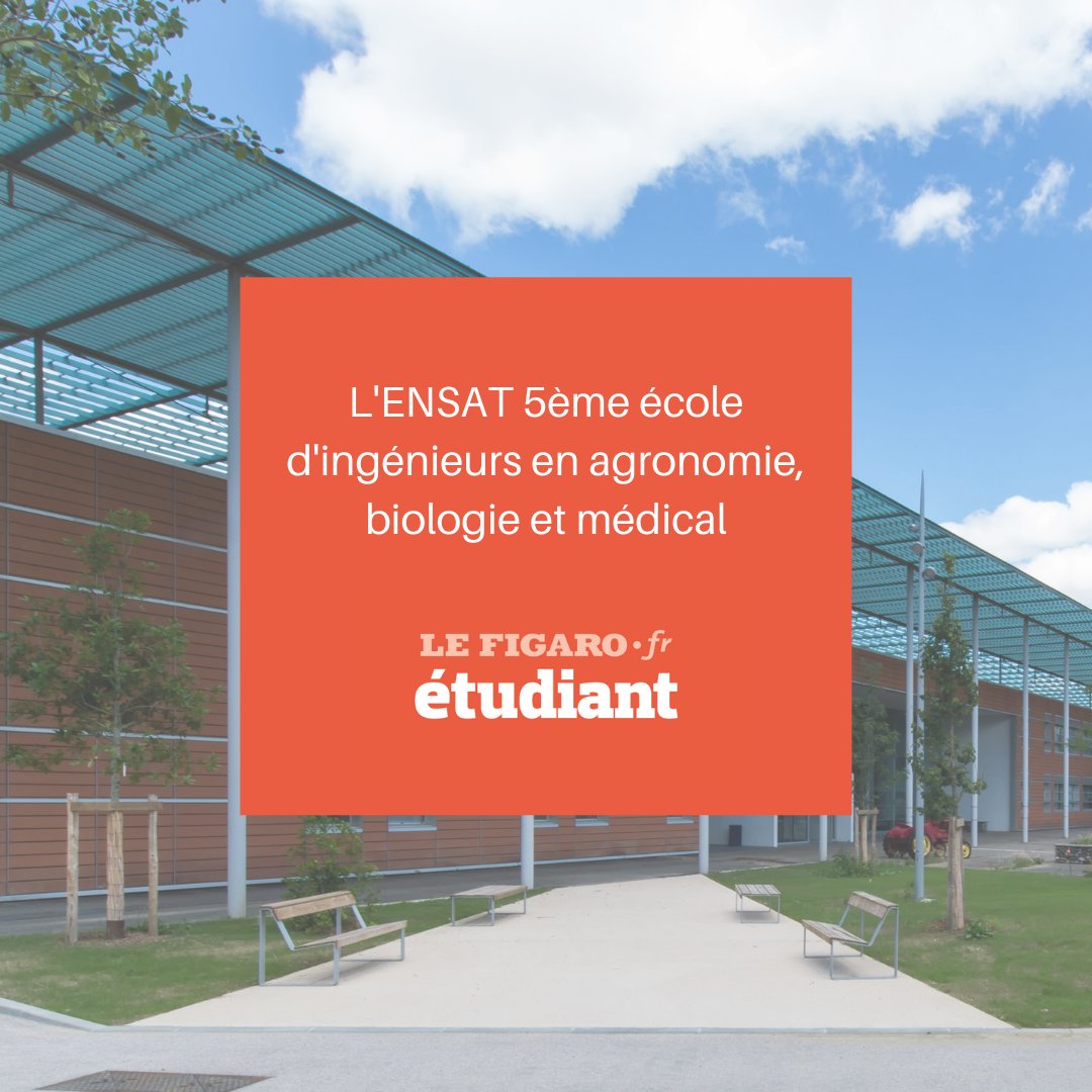 INPAgroToulouse's tweet photo. #CLASSEMENT 🏆

L'@ENSAT_INP est classé 5ème école d'ingénieurs en agronomie, biologie et médical par le @Figaro_Etudiant par son excellence académique, sa présence à l'international et la qualité des relations avec les entreprises.

https://t.co/6U6x4KDmKx https://t.co/9jtd3CxMZC