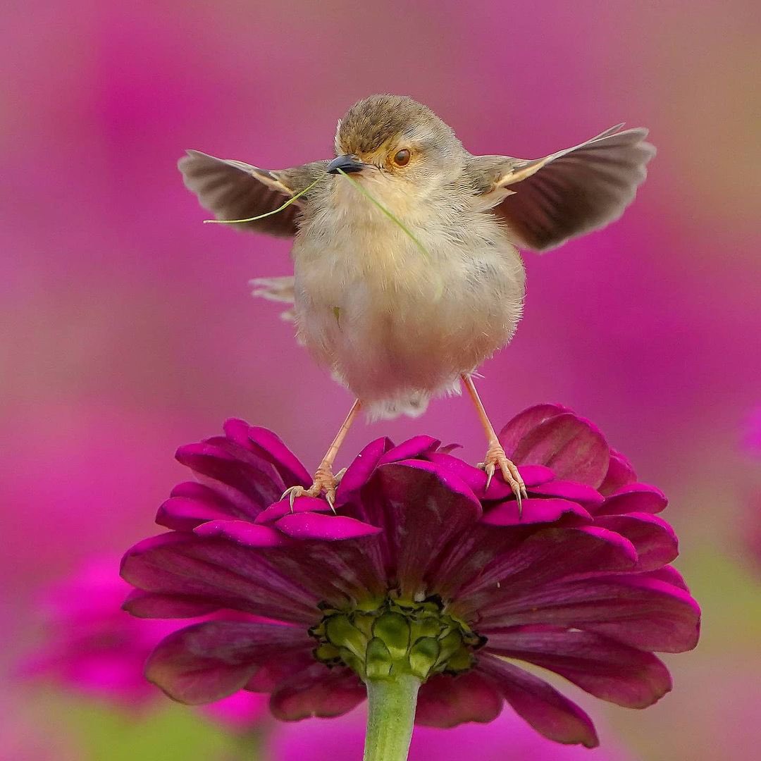 honky_tonk's tweet image. Travelers who came to Earth across dimensions have a mettle that does not yield to difficulties.

次元を越え地球へやって来た旅人は、困難に屈しない気概を有しています。
#mettle #気概 #DimensionalTrip #次元旅行
RP @JeanetteEliz