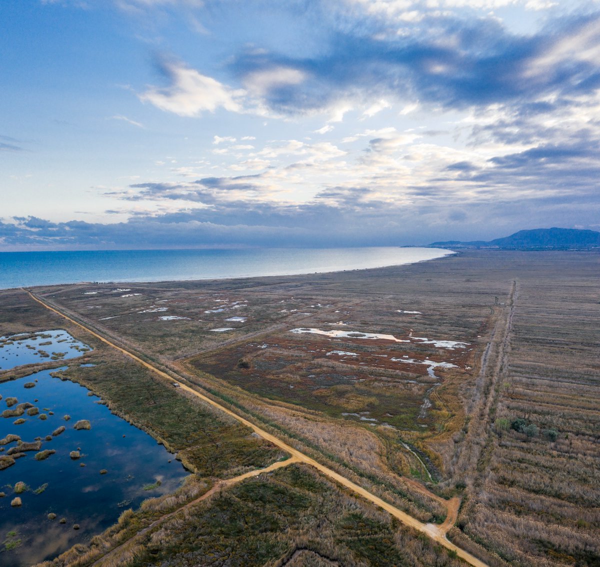 Fundación Global Nature tweet media