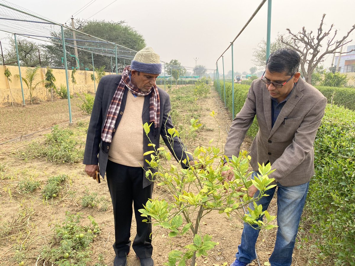 KvkChuru's tweet photo. Today’s activities at KVK https://t.co/SP9XgzzF0D