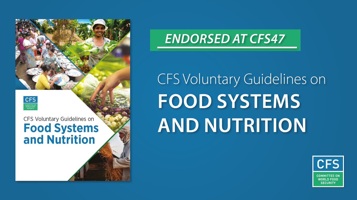 UN_CFS's tweet photo. #CFSHighlights | Endorsed at #CFS47 in Feb 2021, the CFS Voluntary Guidelines on #FoodSystems & #Nutrition provide policy guidance to address #Hunger & #Malnutrition in all its forms
Watch the explainer video ▶️ https://t.co/bmFCr8gvd6
More information 👉 https://t.co/HAp9MsrJtG https://t.co/nrfbFQE9C9
