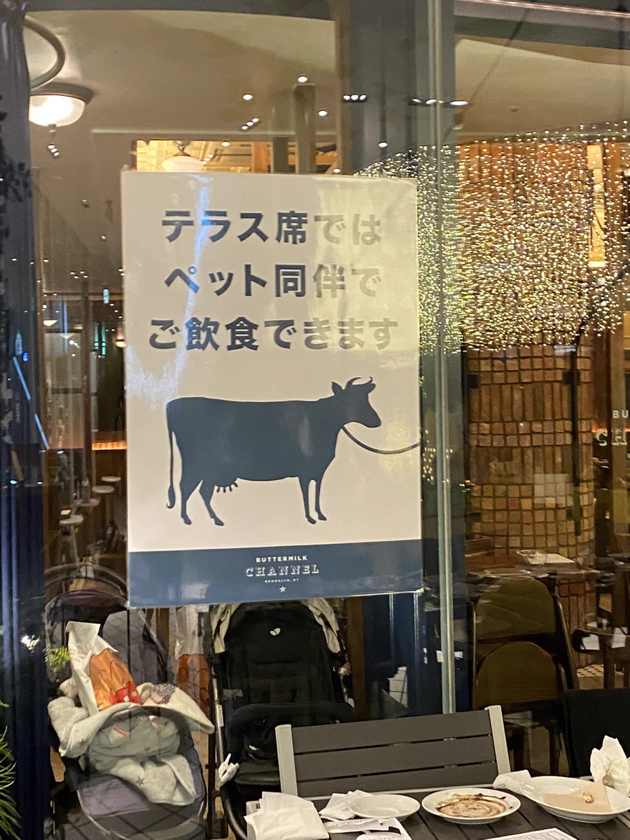 テラス席でペット同伴OK？本当のこのペット連れてきて大丈夫www