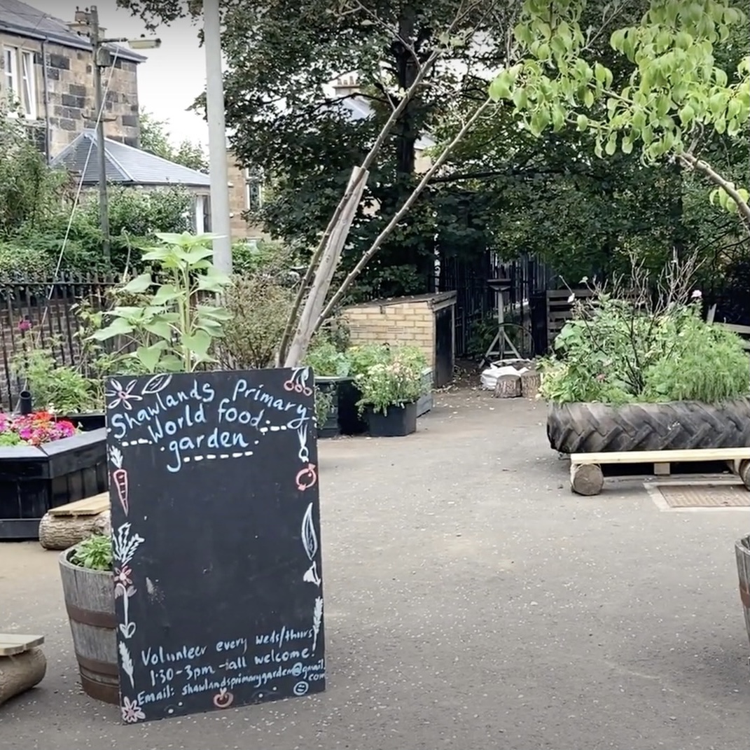 Our final award of 2021 was recently won by the Shawlands Primary World Food Garden, where they’ve created a school produce garden growing fruit and vegetables requested by the children. What an awesome addition to the city! 
#Glasgow #SeedFund #Community