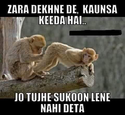 sanghavibhavesh's tweet photo. @kamaalrkhan https://t.co/bvDcxVfGeh