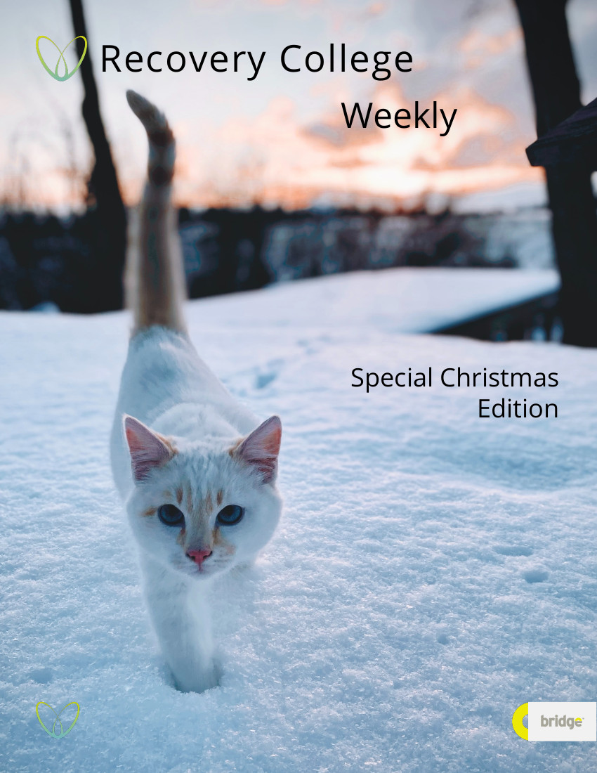 Out now! the Recovery College weekly special Christmas edition. there's a host of festive and New Year ideas to get you through the holidays. Plus clear explanations of plan B, how to get your booster and how to get and use your covid pass. 
therecoveryplace.co.uk/recovery-colle…