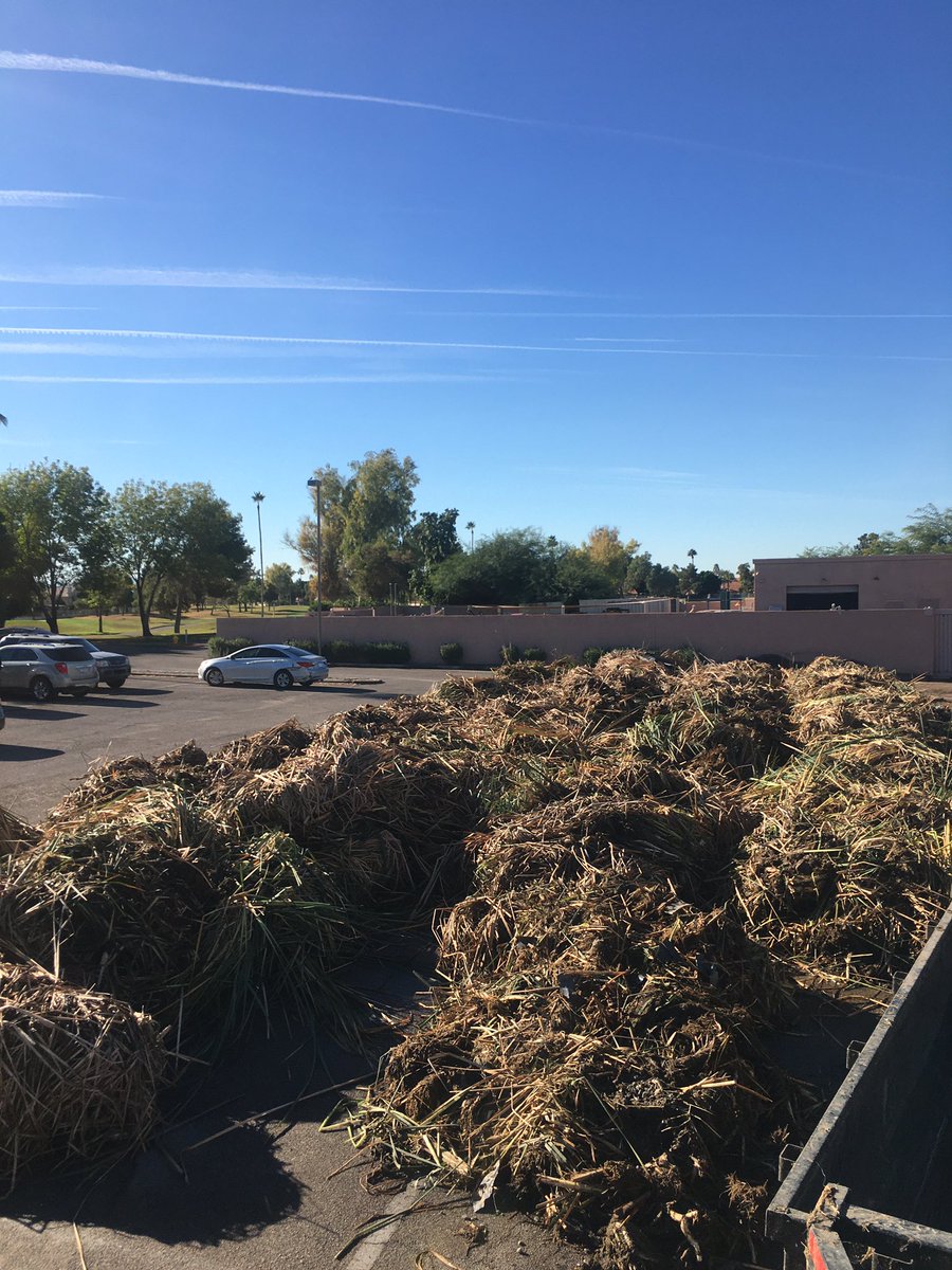 Vpaquaticweedc1's tweet photo. With the cattails removed, this lake @ArrowheadCCAZ  is looking a lot better these days .
#GoodbyeCattails 
#Lookingbetter https://t.co/6UFF5YXmvp