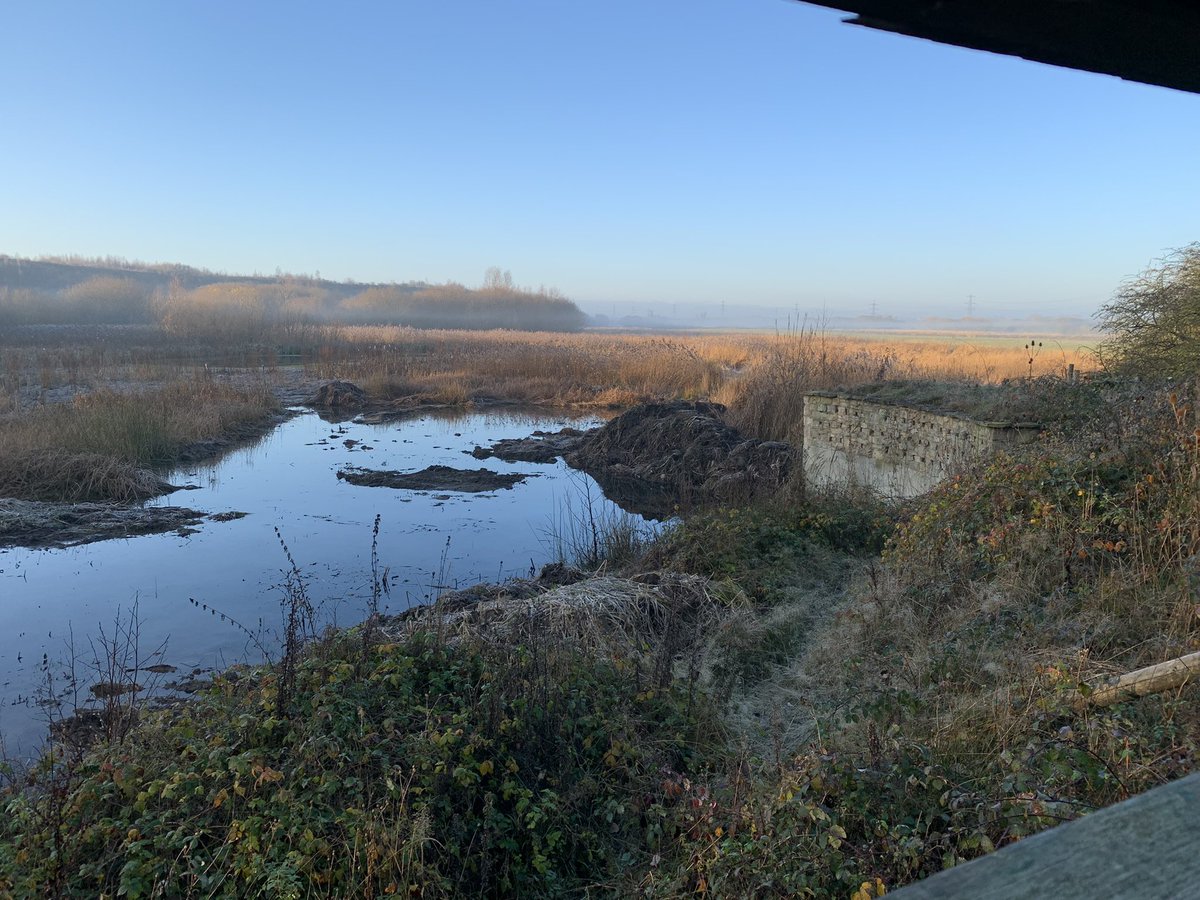 Great day out in nature with our trainee teachers at Fairburn Ings <a href="/Natures_Voice/">RSPB</a> @CastleHill_ <a href="/RSPBEngland/">RSPB England</a>