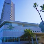 ツイートに含まれる画像