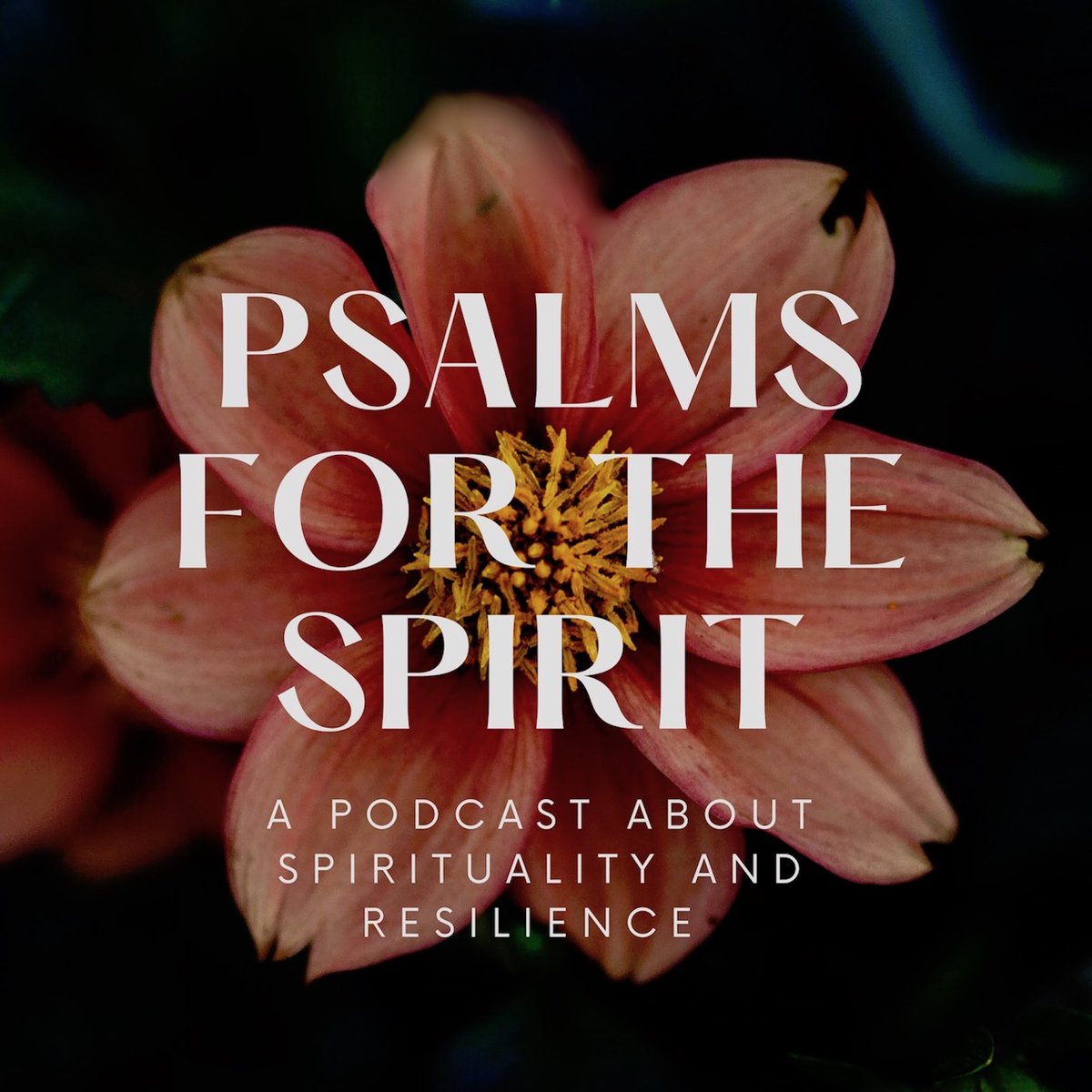 WildGooseRG's tweet photo. Just published – Psalms for the Spirit Ep. 17: Delivering us through the Pains of Life and Death, with John Bell.

John contributes to Kiran Young Wimberly’s podcast about spirituality and resilience, through the lens of the Biblical Psalms.

https://t.co/yieJqjwgwj https://t.co/7lQh8Z6UXR