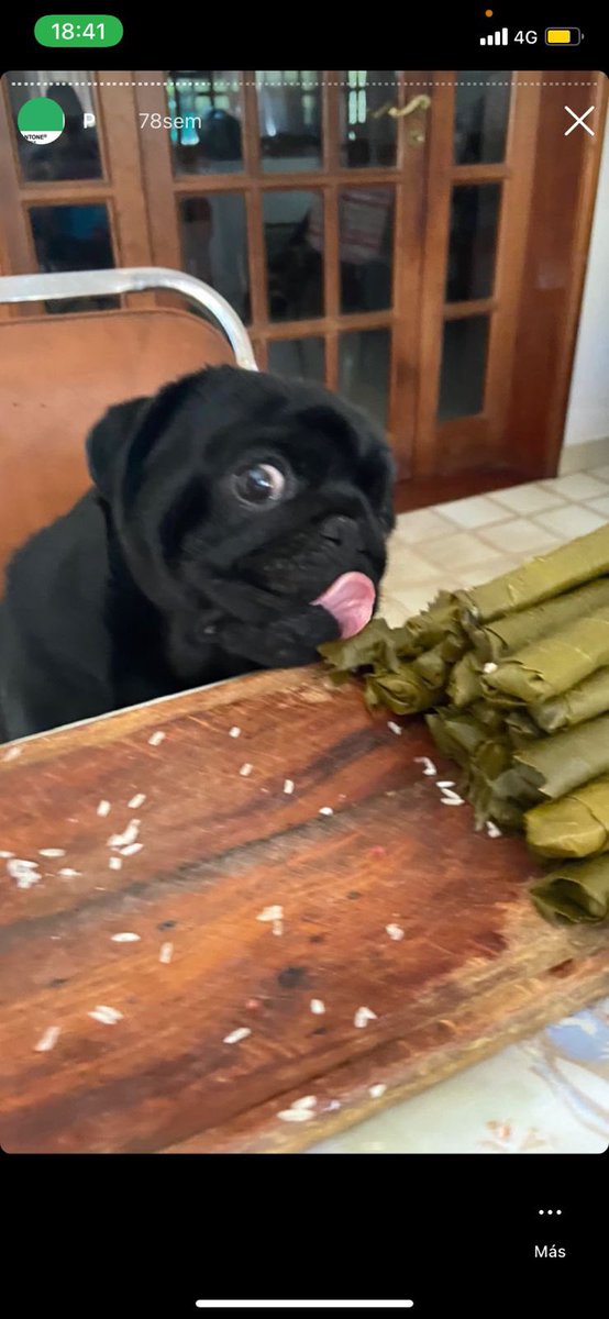 PugPopNFT's tweet photo. No one is gonna know…#NFTCommunity https://t.co/lI8rjJJrD5