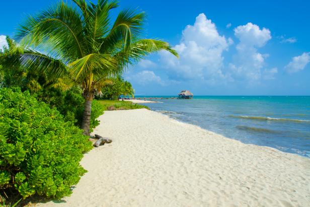 RelaxInBelize's tweet photo. belizehub: Good Morning From Beautiful Belize!
#Belize #GoodMorning #BelizeHub #UltimateBelizeBucketList https://t.co/L9pXxq5LTx