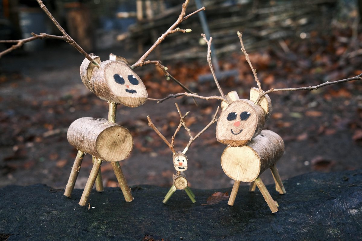 The_AuroraGroup's tweet photo. How adorable are these wooden reindeers created in Forrest School at Aurora Boveridge College? ๐
https://t.co/jzPkpBhZ9f
#ForrestSchool #AuroraBoveridge #Dorset #SEMH #Autism #OutdoorEducation https://t.co/tXGyuytc1L