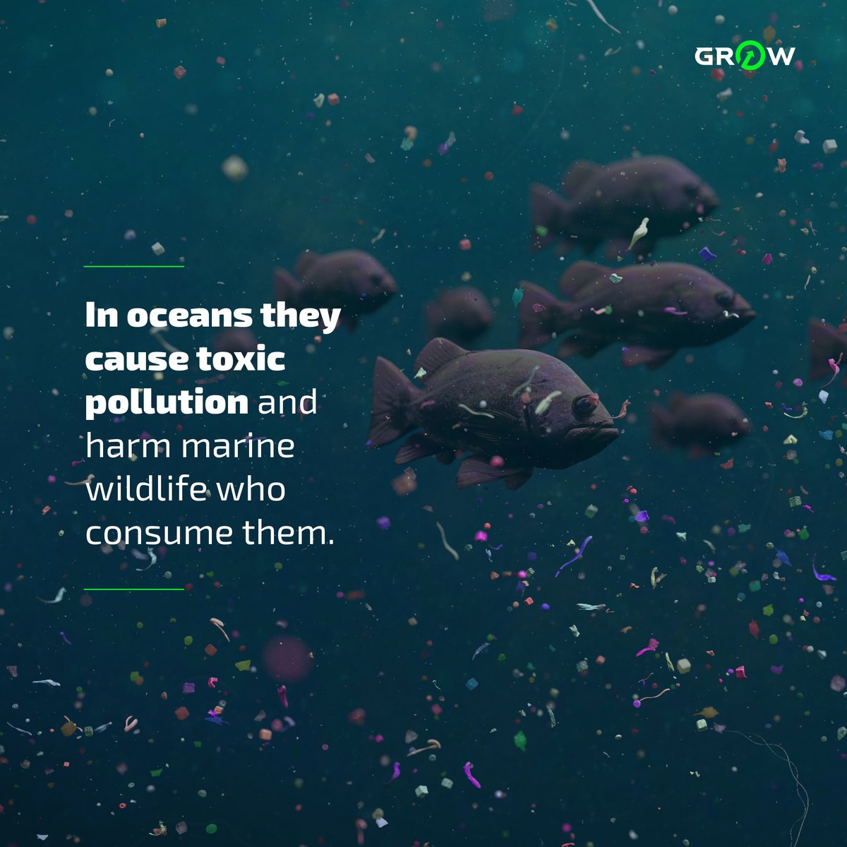 we_grow_strong's tweet photo. Since last May, #nurdles wash ashore in Sri Lanka and sometimes create plastic dunes up to 2 meters high! Like crude oil, nurdles are highly toxic pollutants that harm both marine and terrestrial wildlife. They also promote the growth of bacteria such as E koli, and even cholera! https://t.co/2qxWhqo3fg