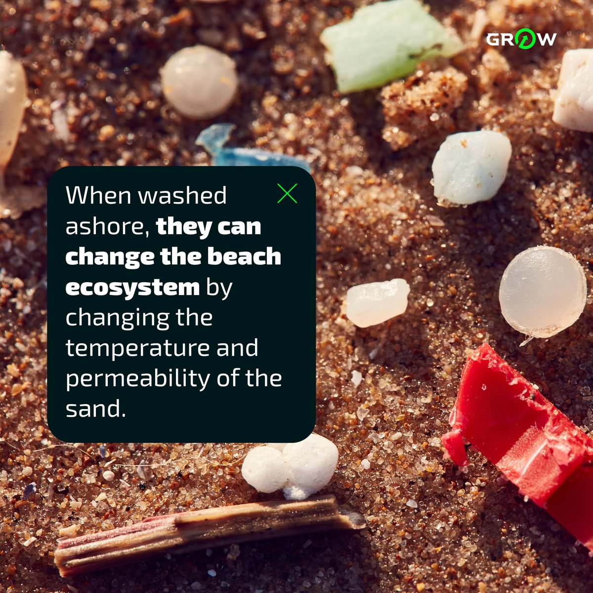 we_grow_strong's tweet photo. Since last May, #nurdles wash ashore in Sri Lanka and sometimes create plastic dunes up to 2 meters high! Like crude oil, nurdles are highly toxic pollutants that harm both marine and terrestrial wildlife. They also promote the growth of bacteria such as E koli, and even cholera! https://t.co/2qxWhqo3fg