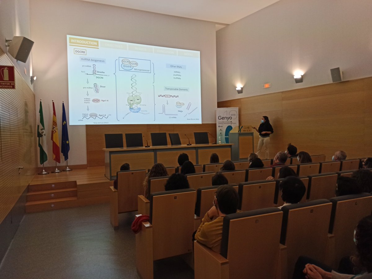 Continuamos con las #IXJornadasCientificas de GenyO. Turno de la "PhD Student, BASIC RESEARCH SESSION". Con la participación de Paula Peinado Fernández, Victoria Sanchez Martín, Helena Gómez Asenjo y Ana Gázquez Gutierrez.