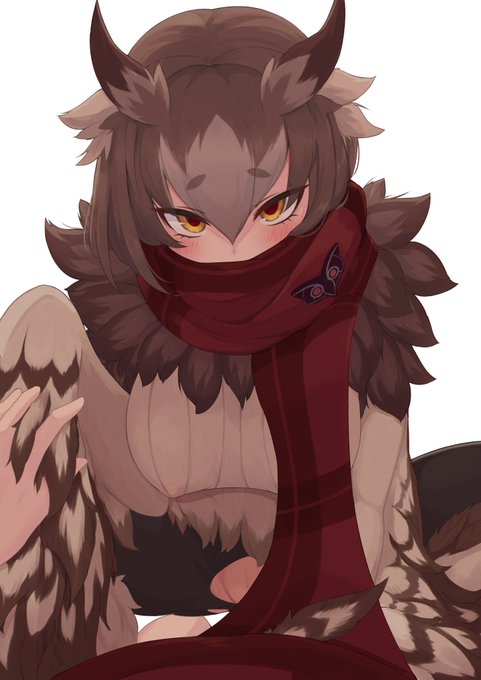 オウルメイジさんと!
#魔物娘図鑑二次
#MonsterGirlEncyclopedia 