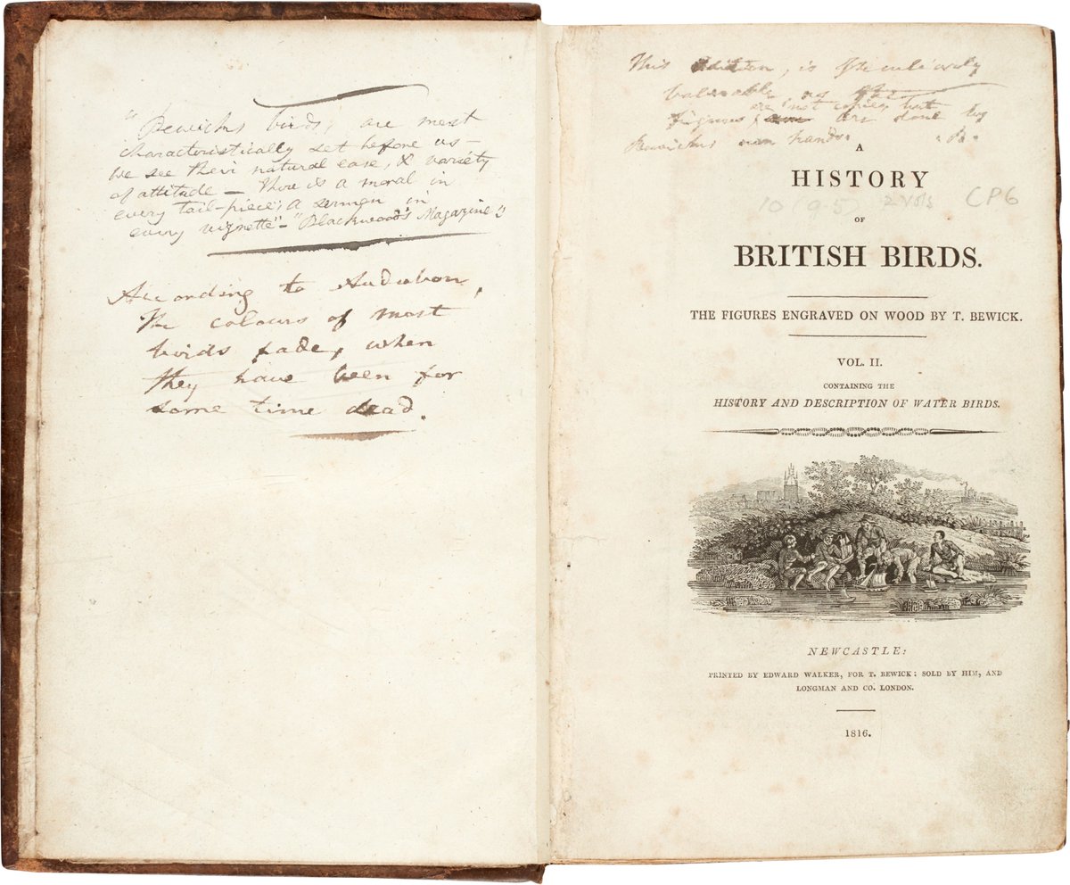 Brontë Parsonage Museum tweet media