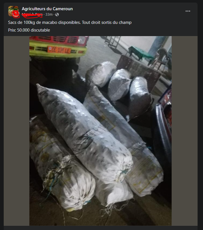 BertrandFoffe's tweet photo. Le problème avec la vente traditionnelle c'est qu'il y a tellement de pertes. Pourtant on peut optimiser plusieurs choses : 
1. La récolte (a la charge de l'acheteur)
2. Le transport (Grouper avec d'autre)
3. La vente : meilleurs prix 
4. Les marges : limiter les charges extra https://t.co/ezbLsBylbg
