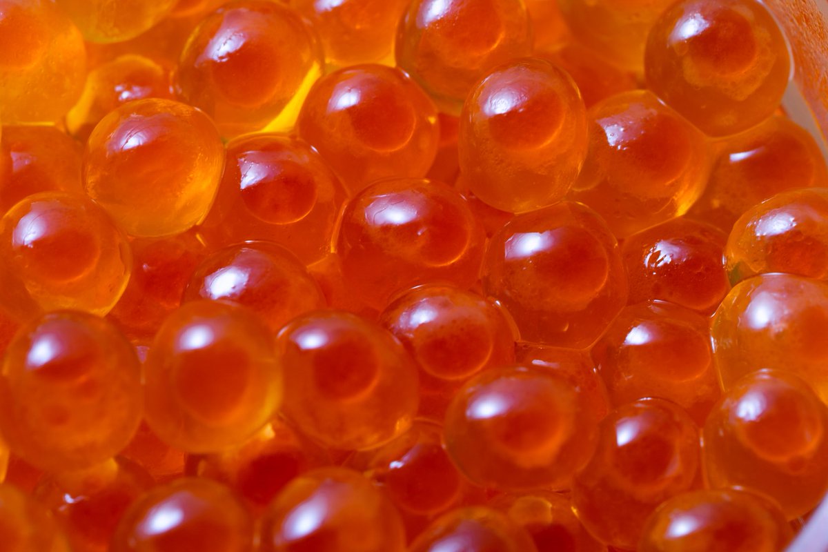 浜通り！木戸川いくら祭り tweet media