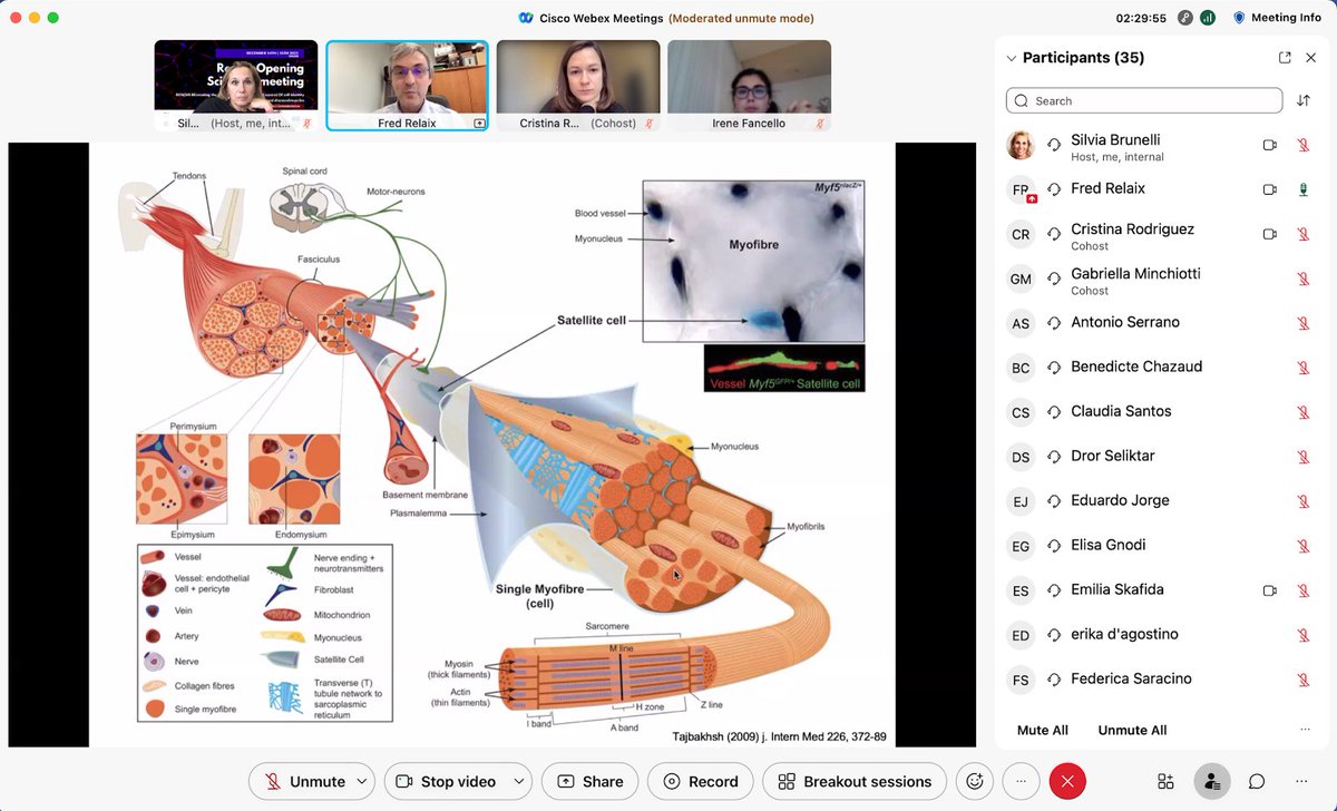 RENOIR ITN tweet media