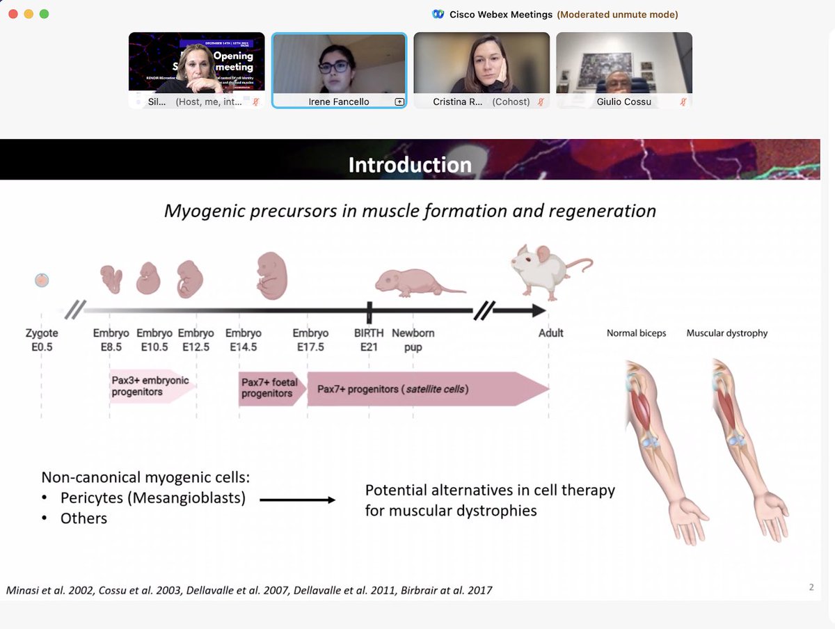 RENOIR ITN tweet media