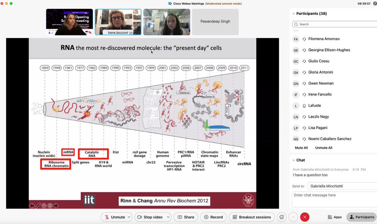 RENOIR ITN tweet media