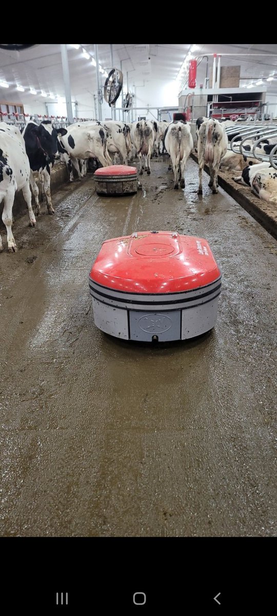 AlexRivard13's tweet photo. Who needs a race track real farmers race collectors https://t.co/k9uuOCvffJ