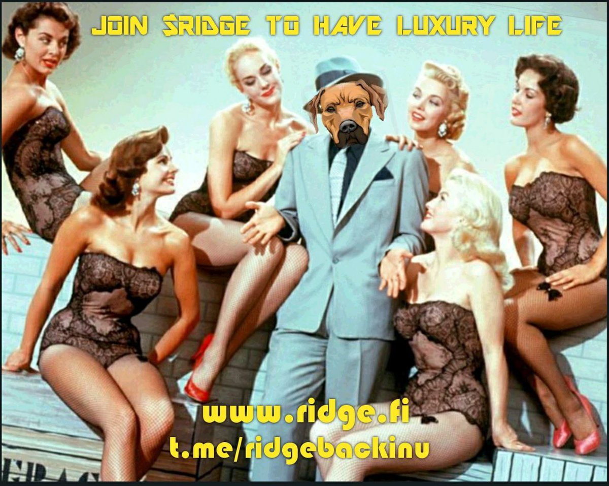 Crypto_Seeker88's tweet photo. @Crypto__Diva $RIDGE is gonna blow up in 2022, we are cooking something huge, prepere for #ridge army https://t.co/dkZ7rO0L6H