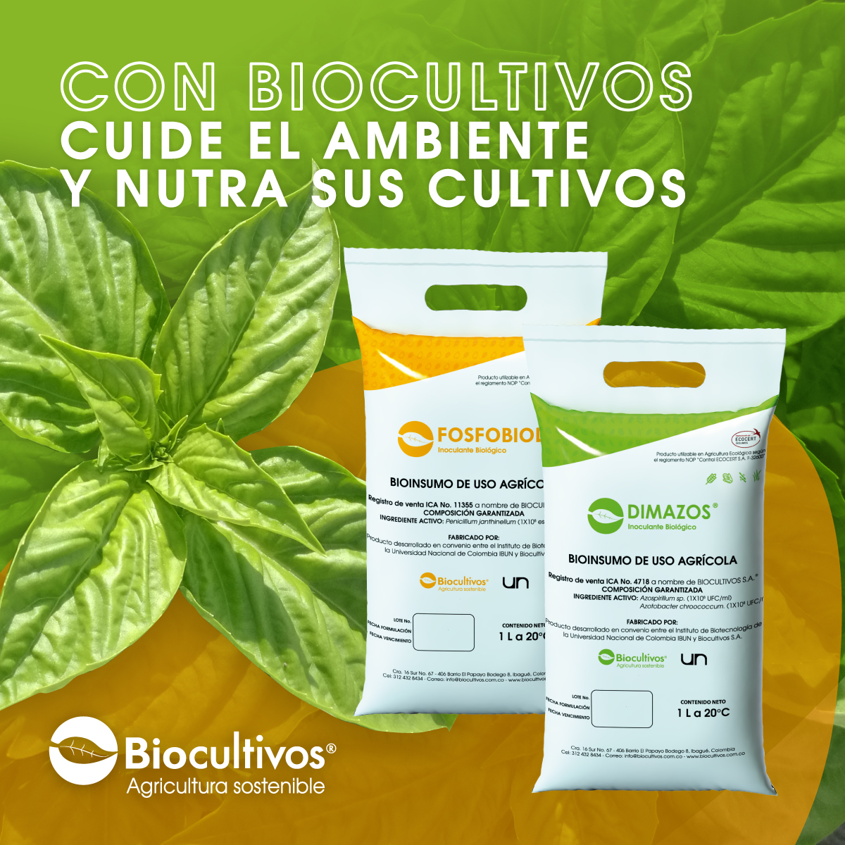 biocultivos's tweet photo. Si quiere obtener buenas cosechas hoy y también en el futuro, entonces debe pensar en cómo producir con métodos naturales que también cuidan el suelo.
#Biocultivos #Bioinsumos #Nutra #Cosechas #Ambiente #Fosfobiol #Dimazos #Cuide https://t.co/VHPTBBOzeb