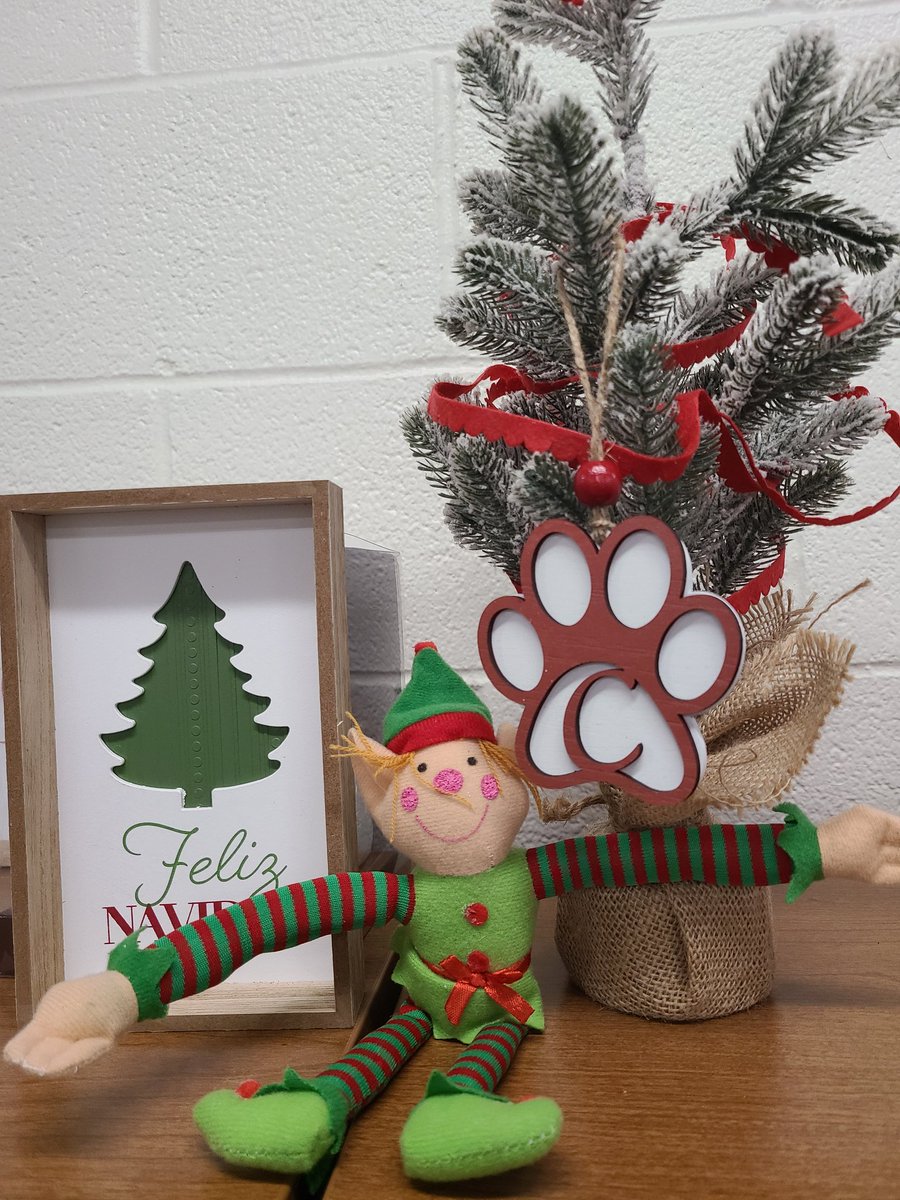 Snowy loved Ms. Carranza's new ornament ❤🌲 #gibcal