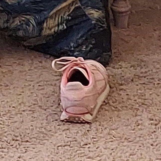 คือแบบ555555555555555555555555555555555555555