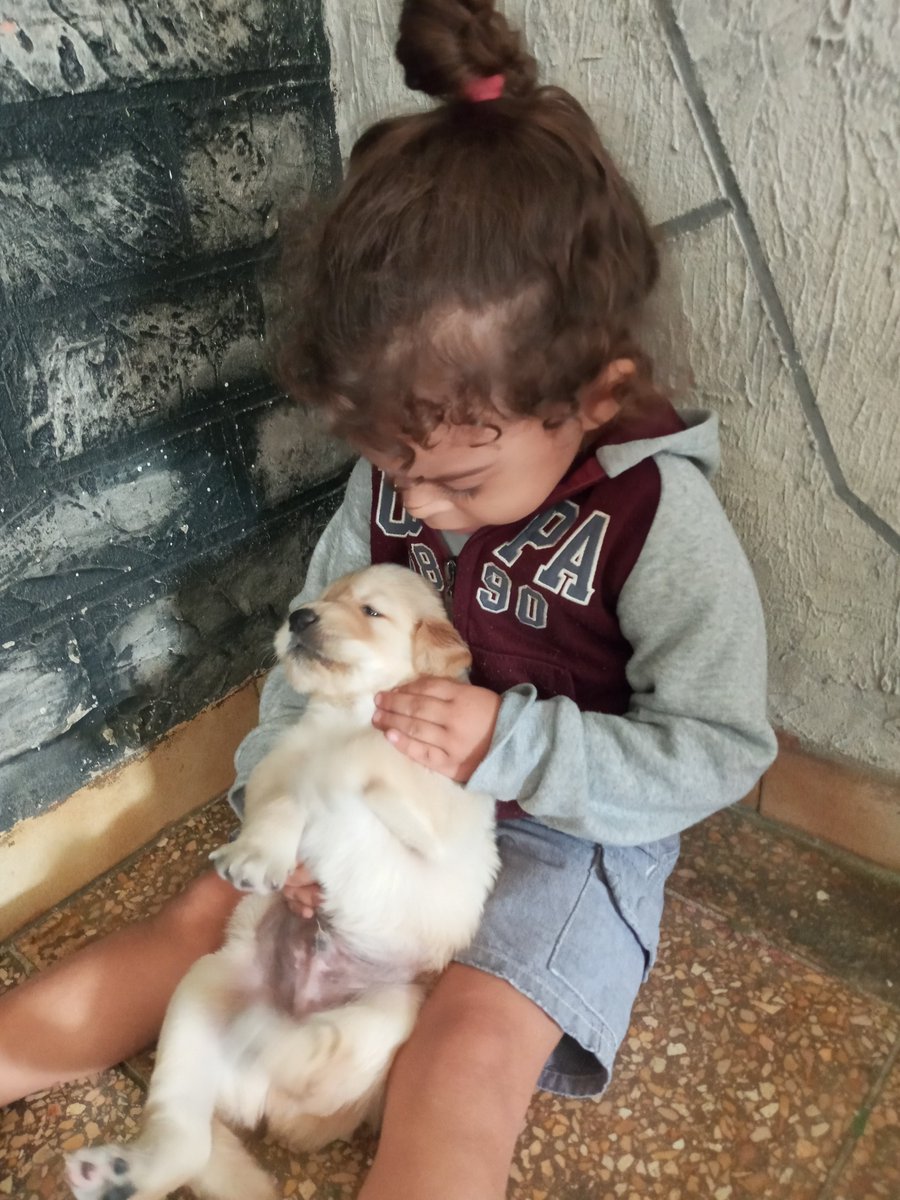 Knosvillee's tweet photo. Nada mejor para amanecer que mi hijo 🧒🏻discutiendo con su perro 🐶 mientras yo tranquilamente me tomo mi café ☕🧘🏻‍♀️😅 https://t.co/8zIIHouyZJ