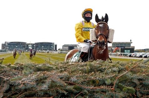 ThePaddandPav's tweet photo. Good luck to @tabithaworsley & #sublieutenant today at @ExeterRaces in the 1.40pm race. To find out more of their 2021 #grandnational story go to Ep 94
https://t.co/zcbynQT2vy https://t.co/eZjZ2kgJh3